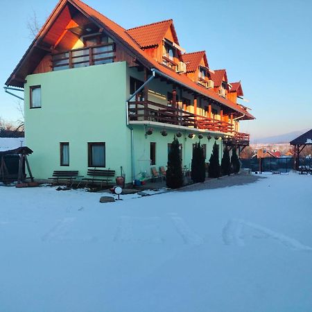 Pensiunea Leia Transfagarasan Cîrţişoara Buitenkant foto