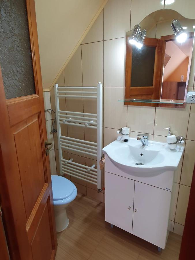 Pensiunea Leia Transfagarasan Cîrţişoara Buitenkant foto