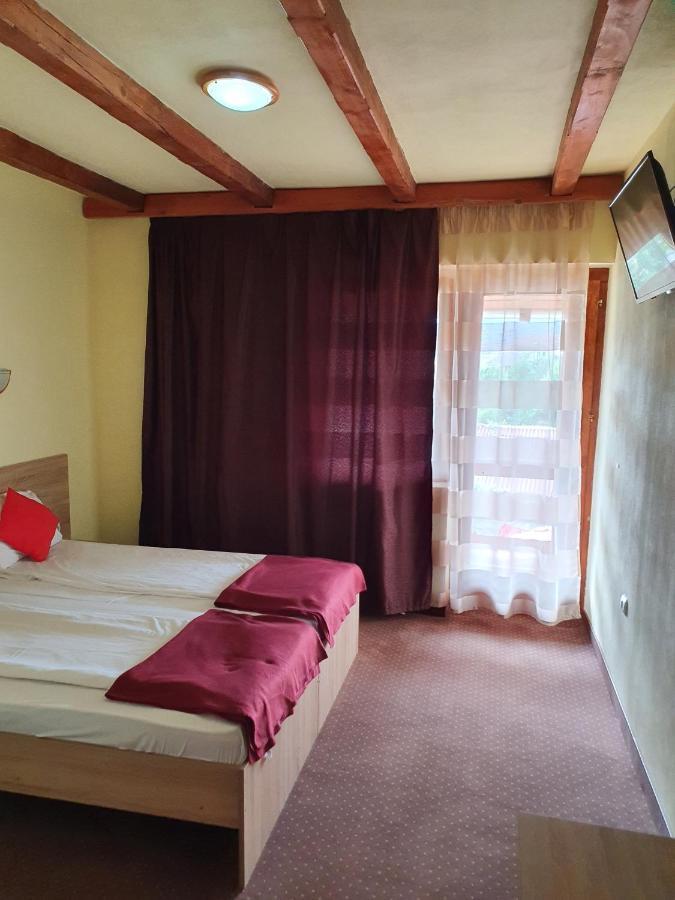 Pensiunea Leia Transfagarasan Cîrţişoara Buitenkant foto