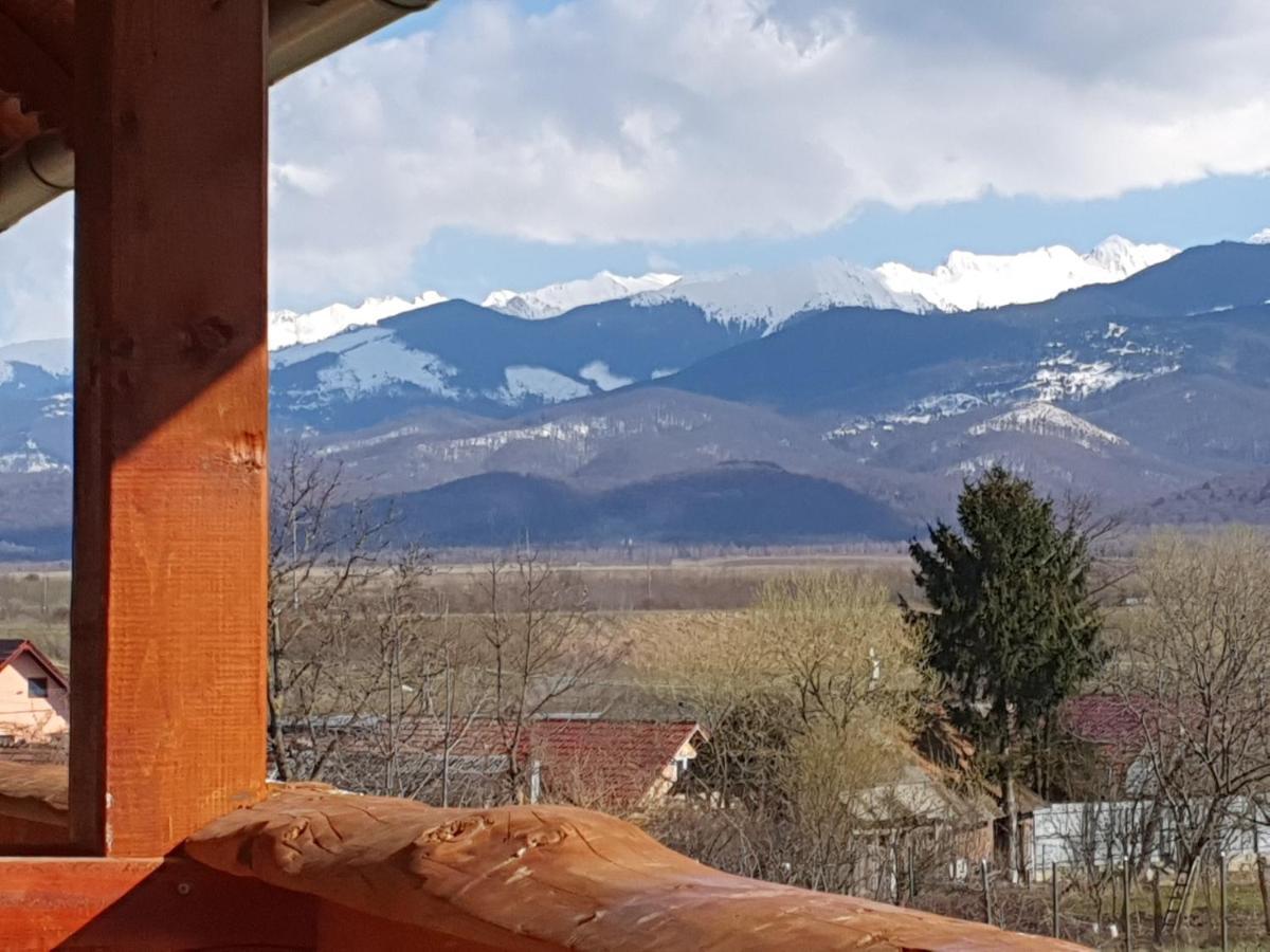 Pensiunea Leia Transfagarasan Cîrţişoara Buitenkant foto