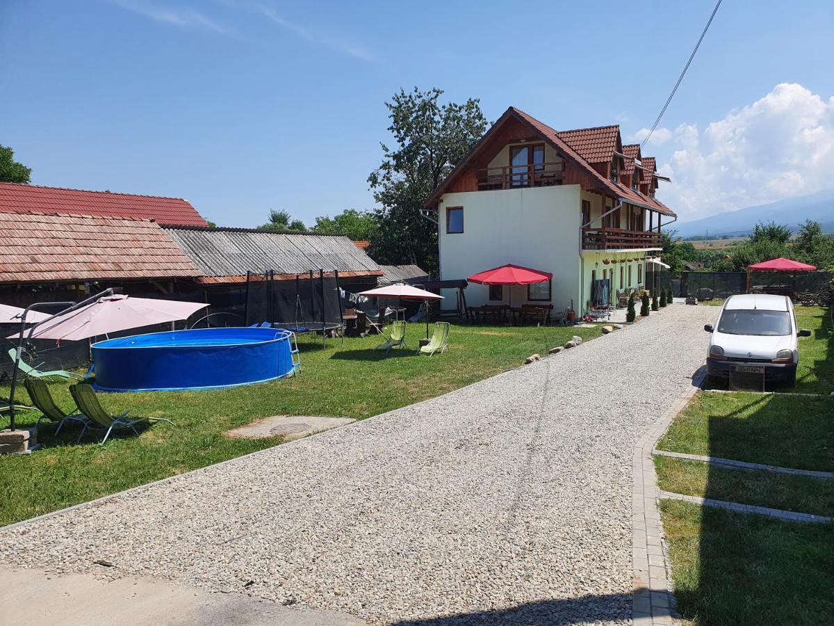 Pensiunea Leia Transfagarasan Cîrţişoara Buitenkant foto