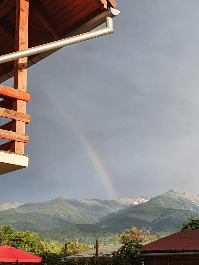 Pensiunea Leia Transfagarasan Cîrţişoara Buitenkant foto