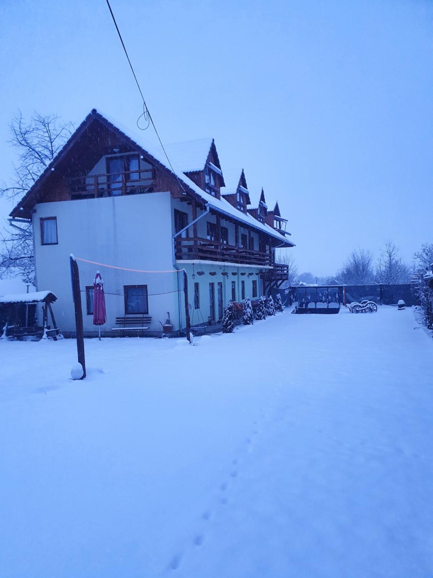 Pensiunea Leia Transfagarasan Cîrţişoara Kamer foto